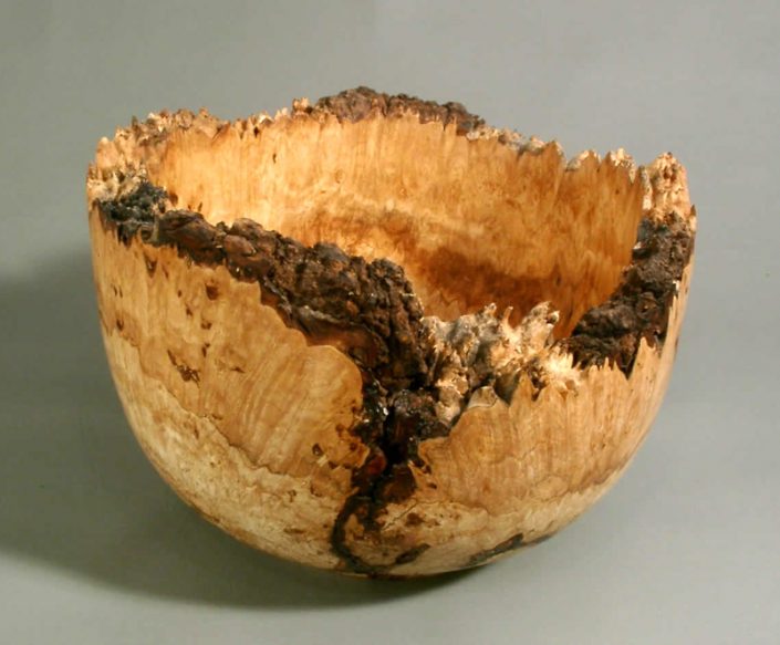 Big Leaf Maple Burl