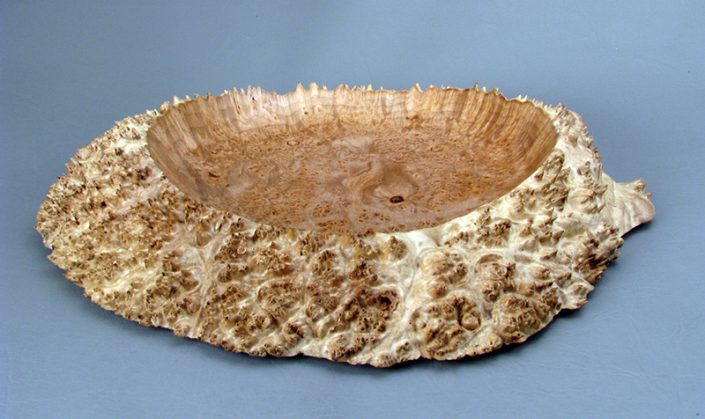 Big Leaf Maple Burl