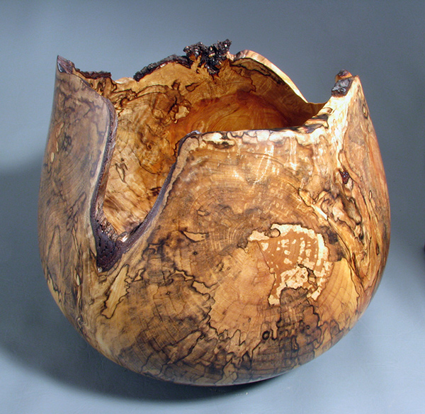 Spalted Yellow Birch root bowl