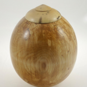 Wood funeral urn - #154a- Spalted Whit Birch 7,5 x 9,5in.